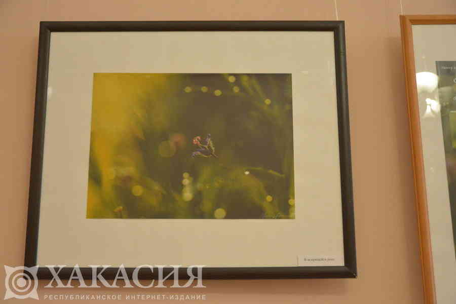 Фото галереи