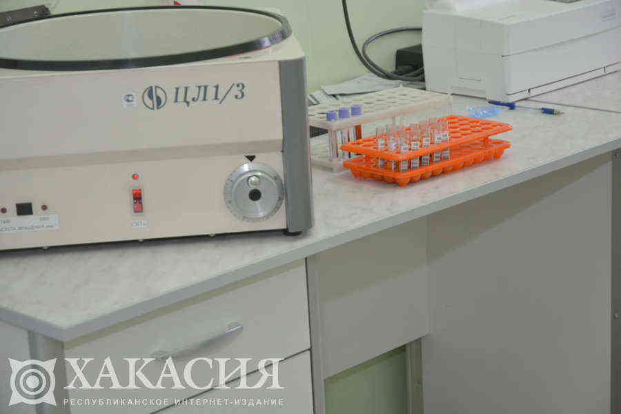 Фото галереи