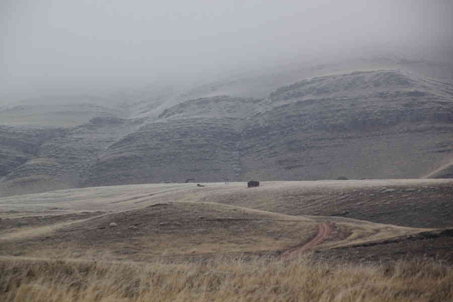 Фото галереи