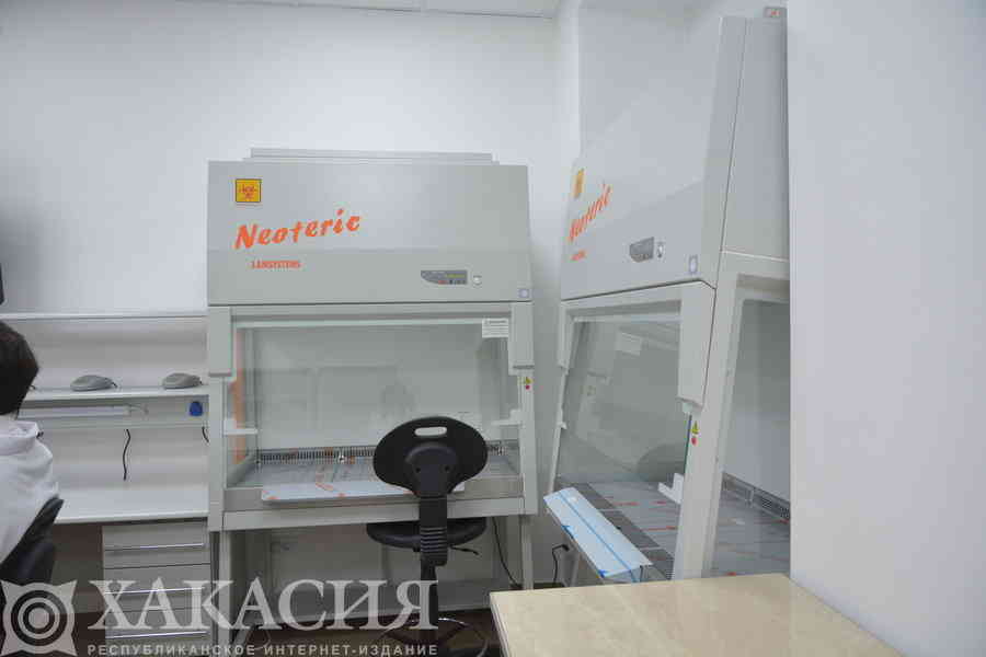 Фото галереи