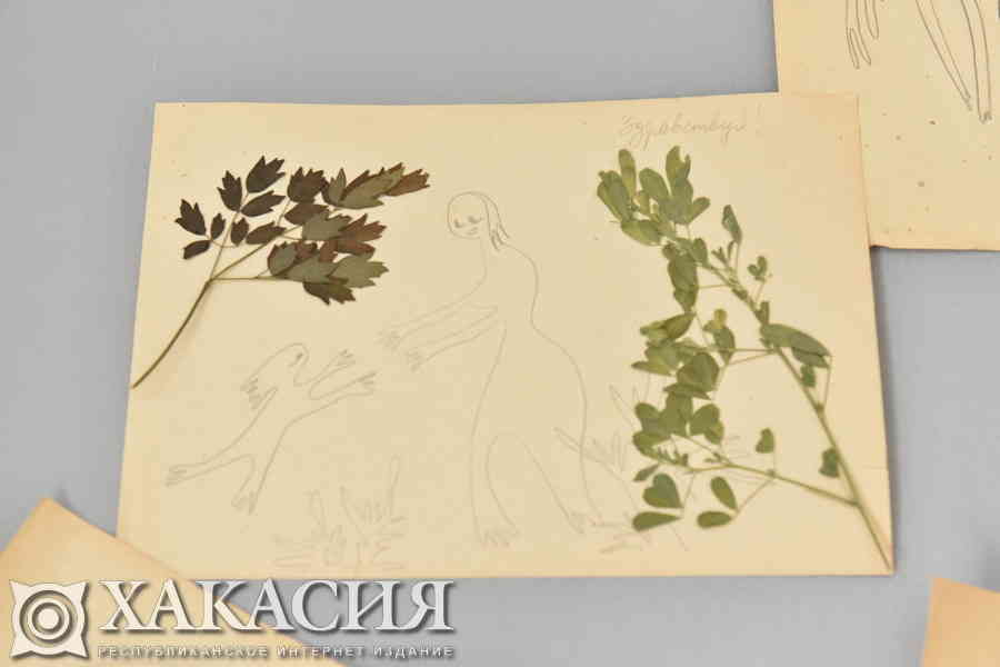 Фото галереи