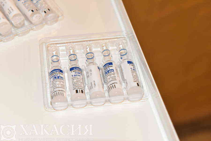 Фото галереи