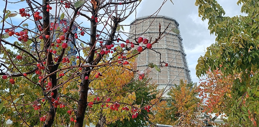 Фото галереи