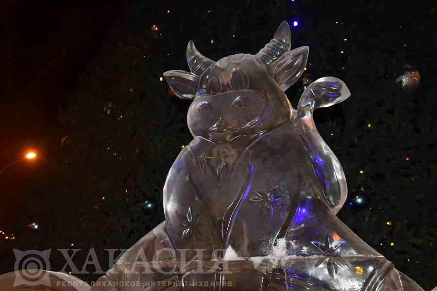 Фото галереи