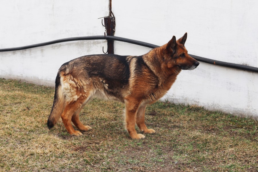 Фото галереи