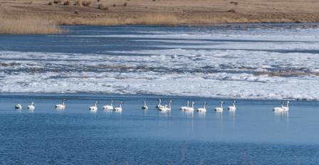 Фото галереи