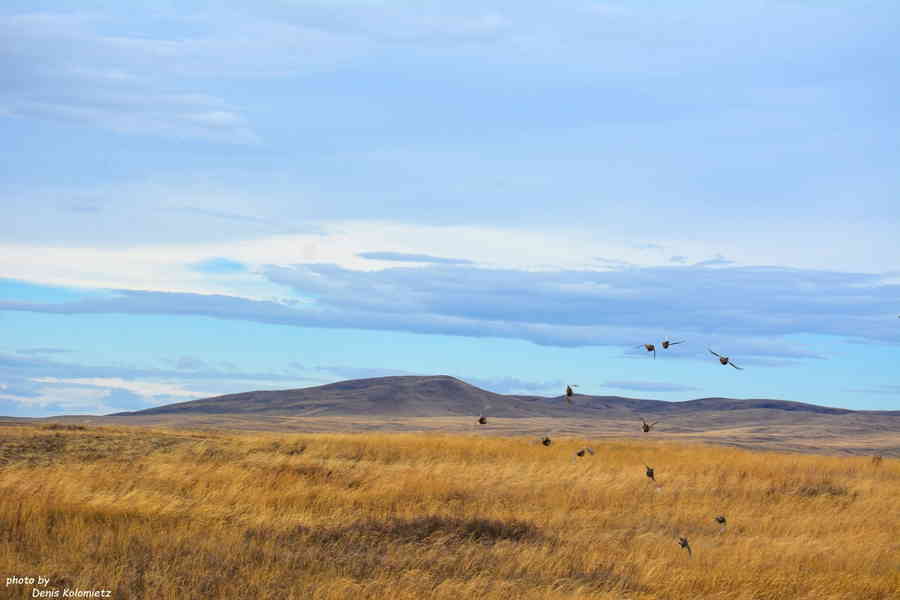 Фото галереи