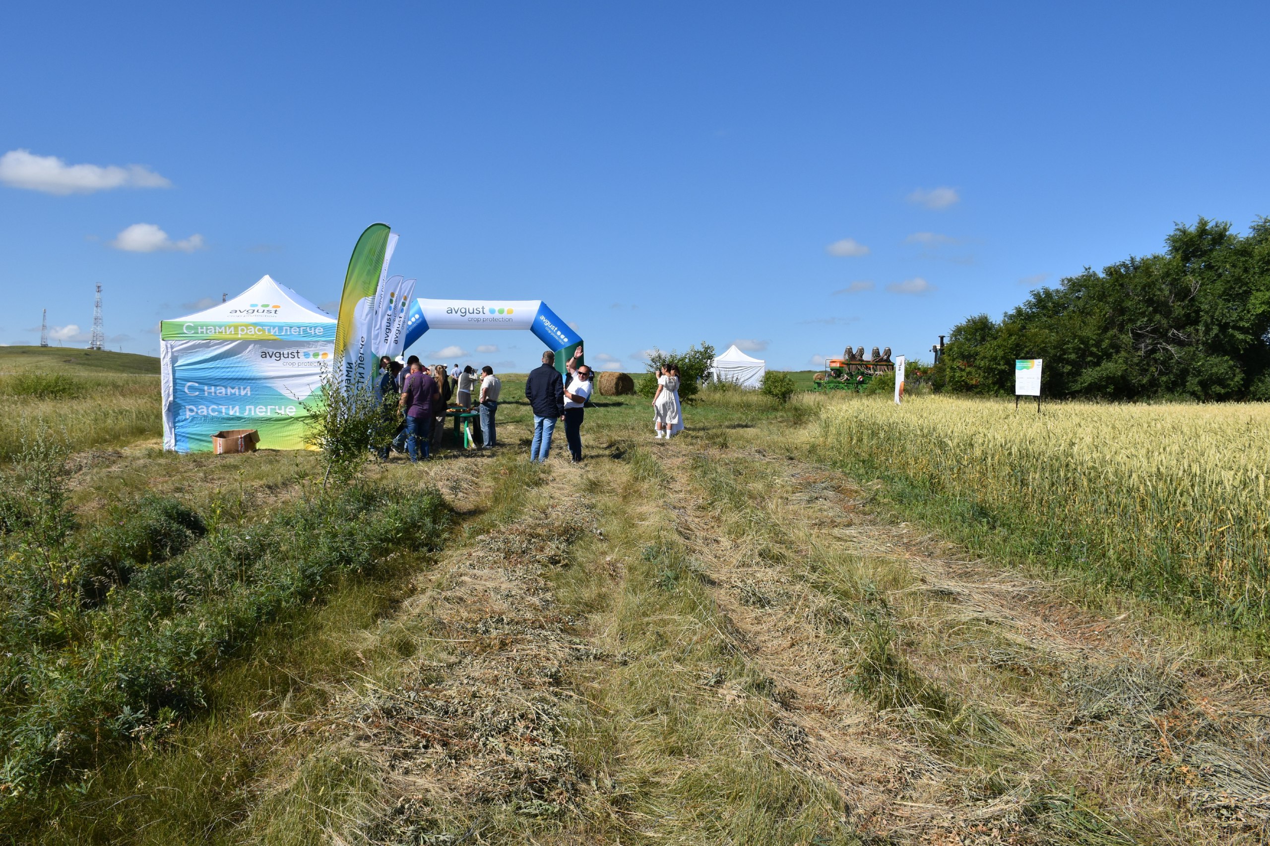 Фото галереи