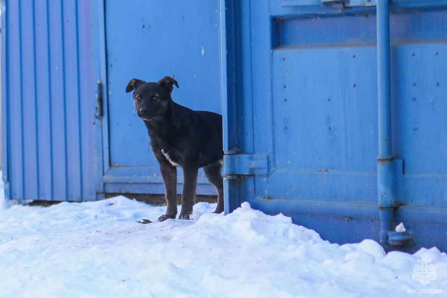 Фото галереи