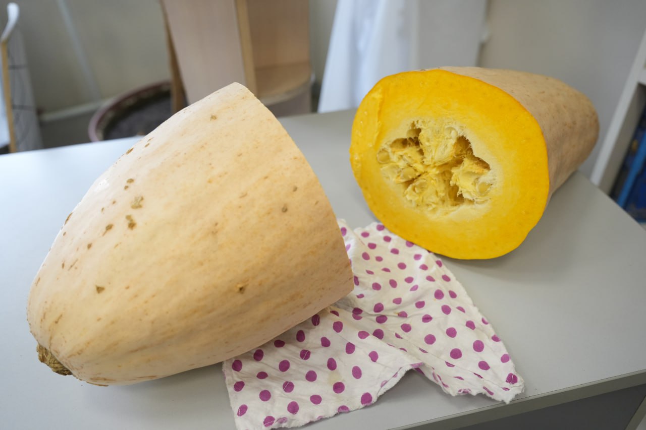 Фото галереи