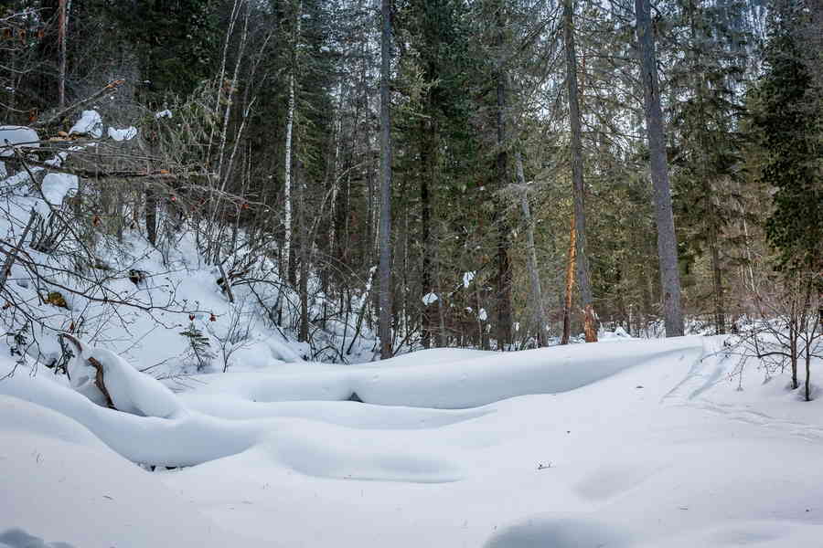 Фото галереи