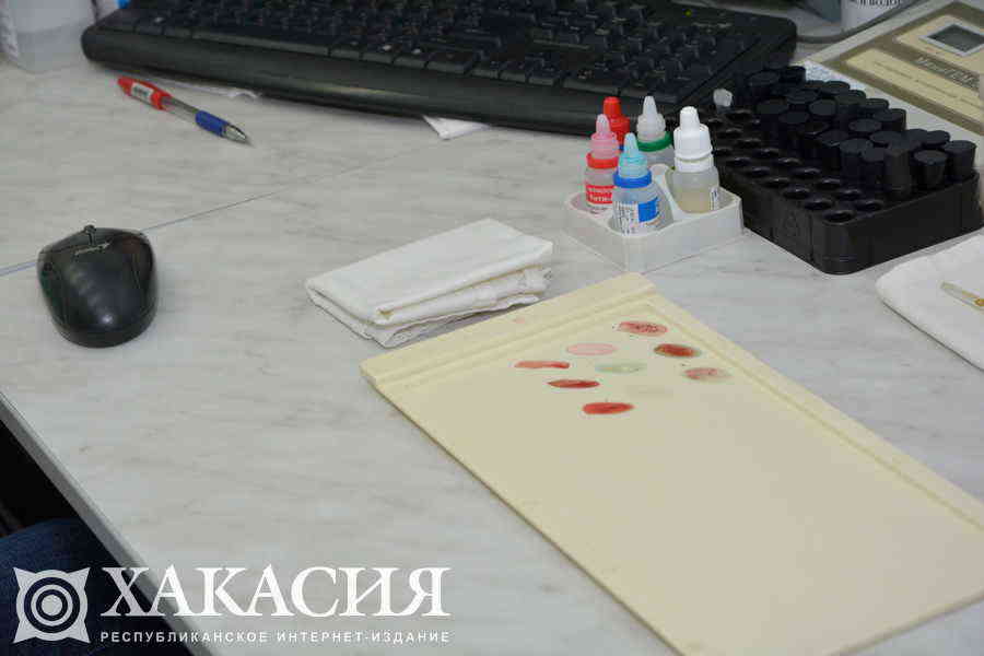 Фото галереи