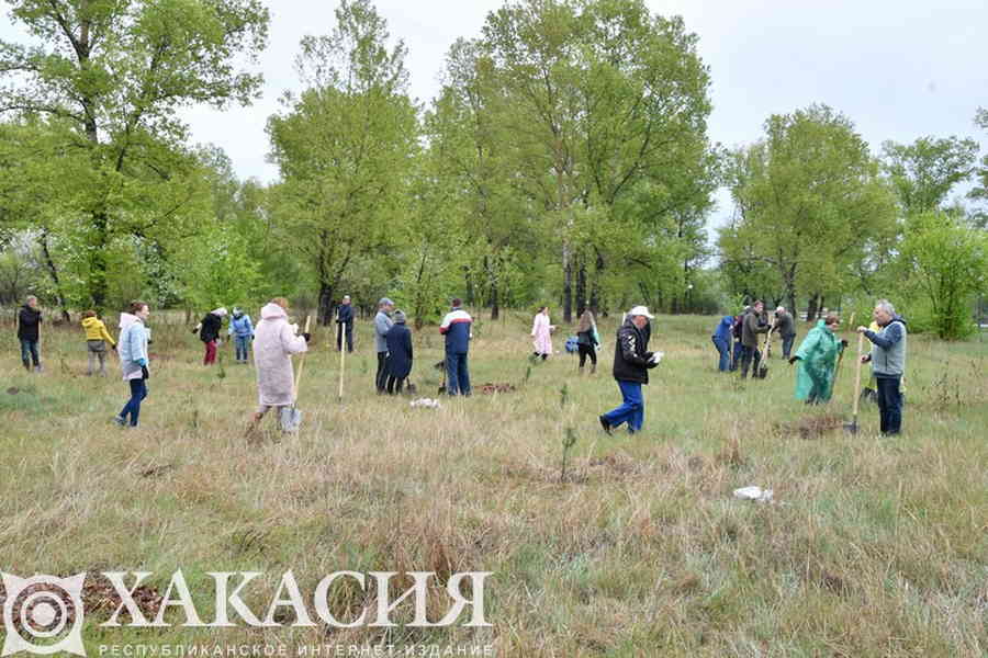 Фото галереи