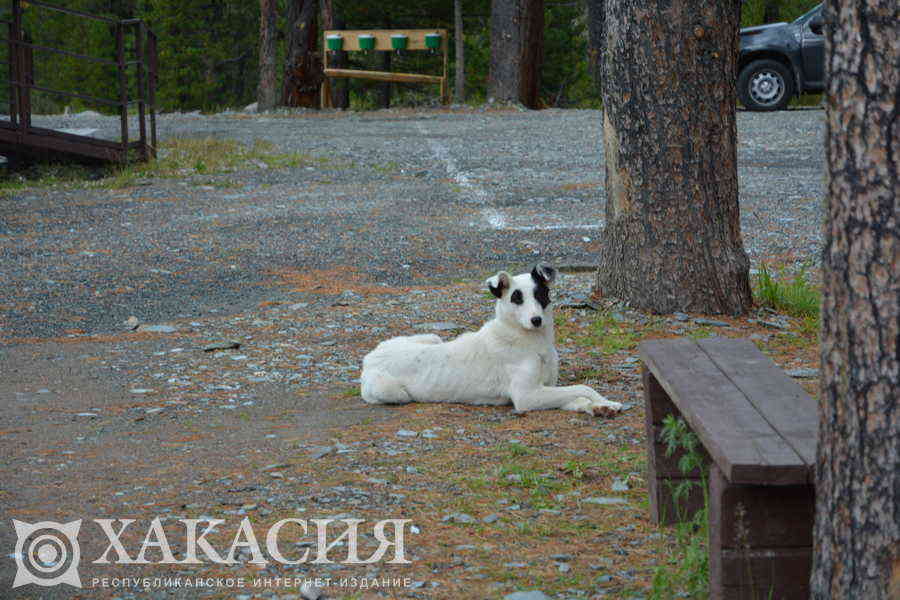 Фото галереи