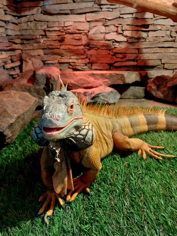 Фото галереи