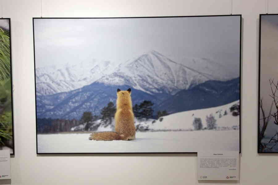 Фото галереи