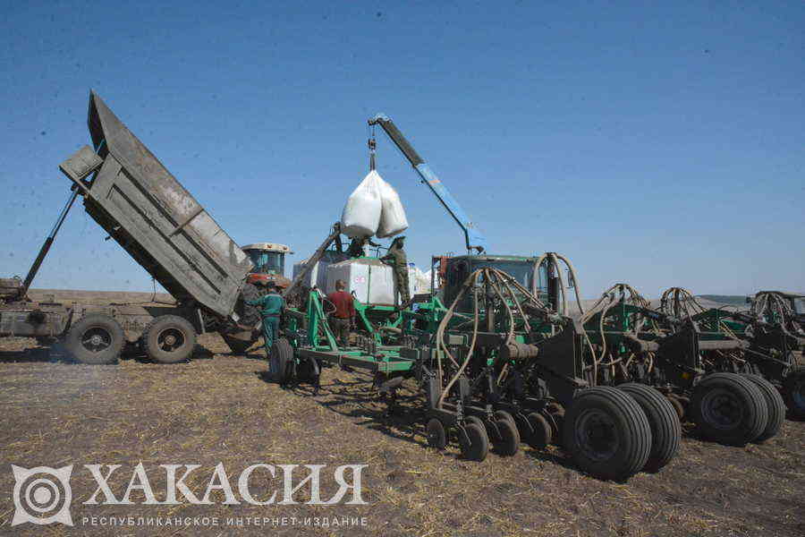 Фото галереи