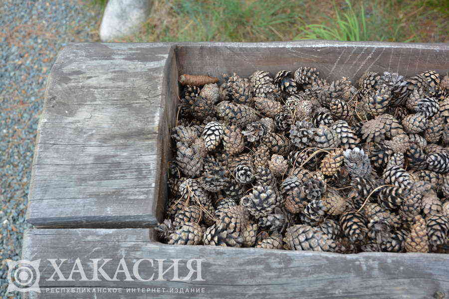 Фото галереи