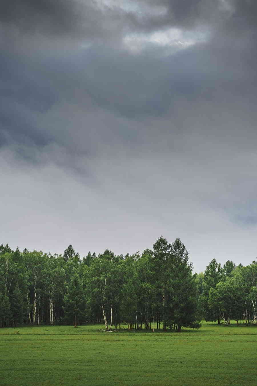 Фото галереи