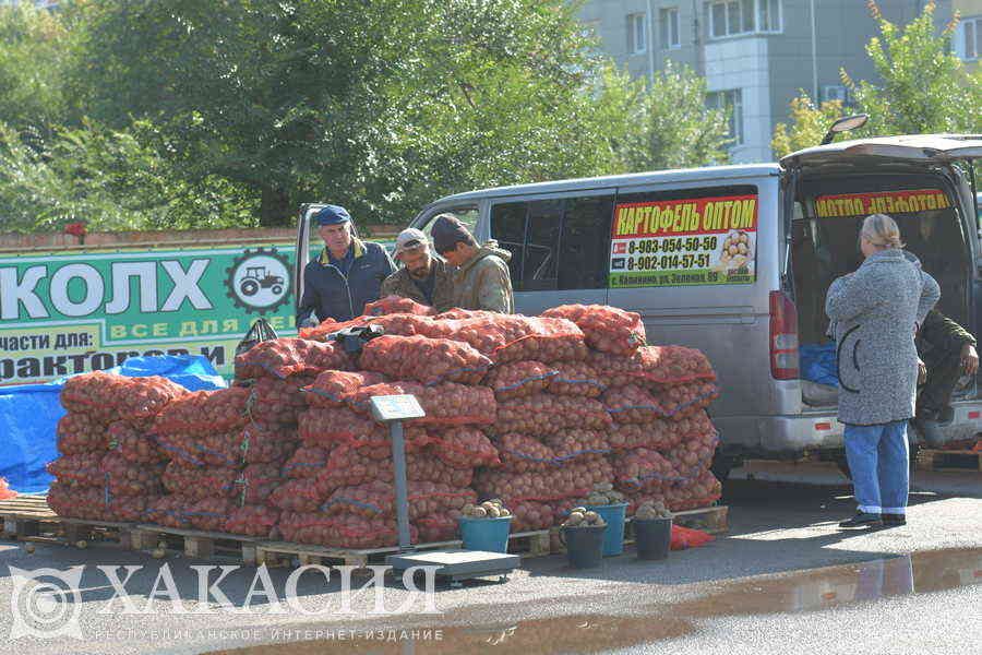 Фото галереи