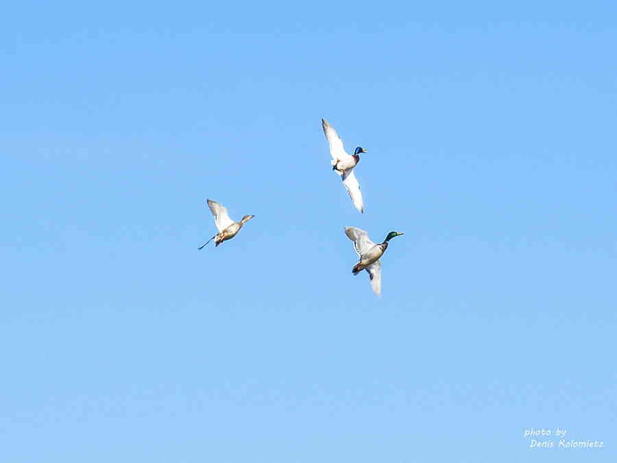 Фото галереи