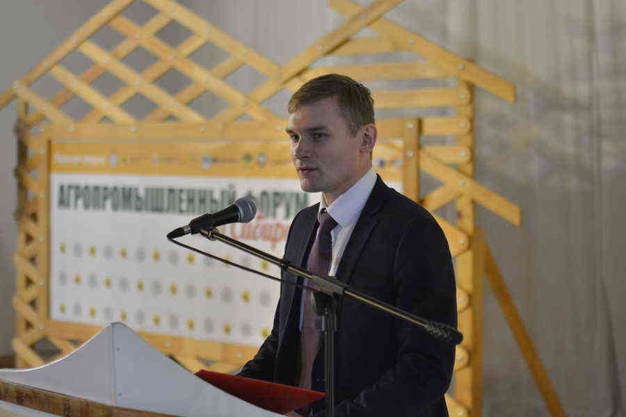 Фото галереи