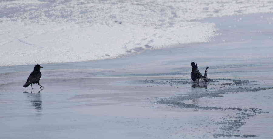 Фото галереи