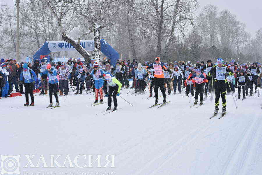 Фото галереи