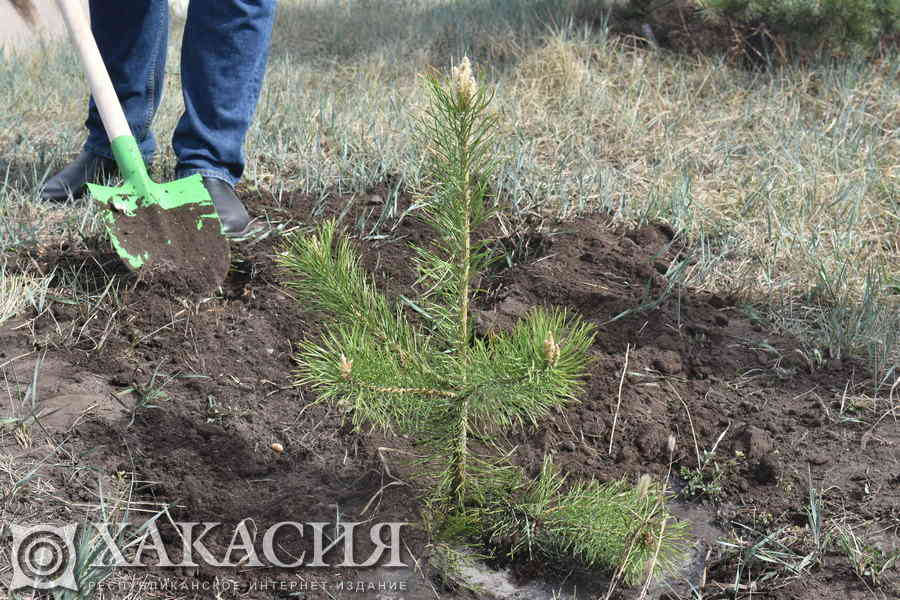 Фото галереи