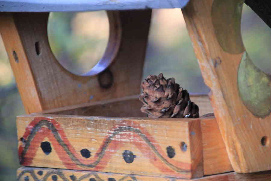 Фото галереи