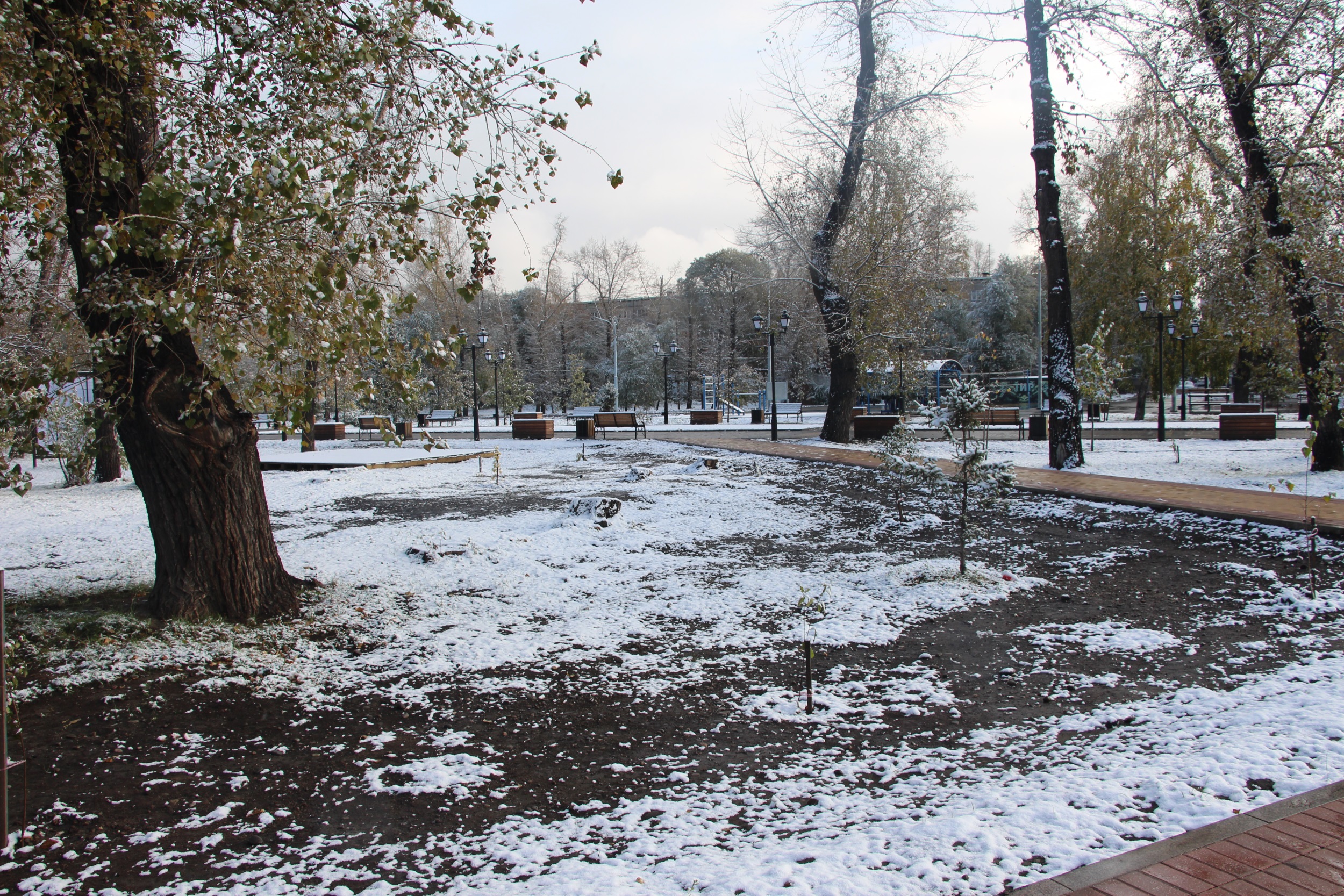 Фото галереи