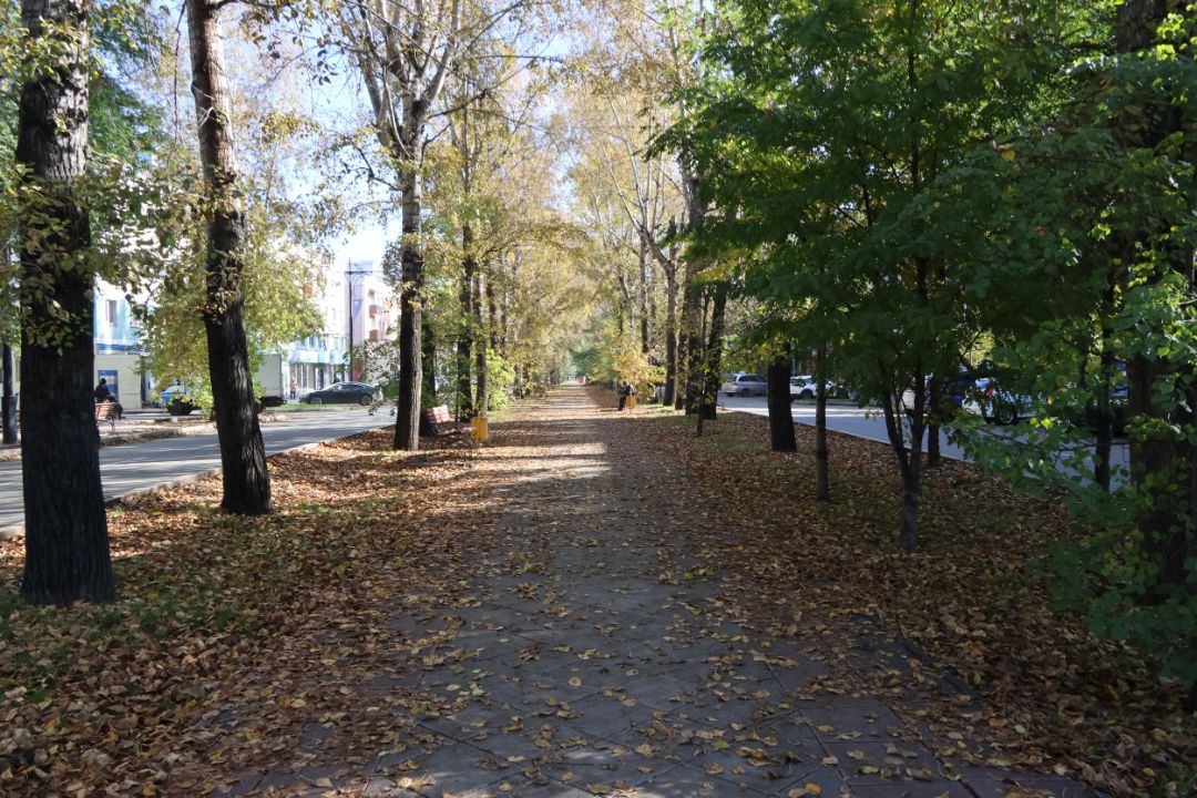 Фото галереи
