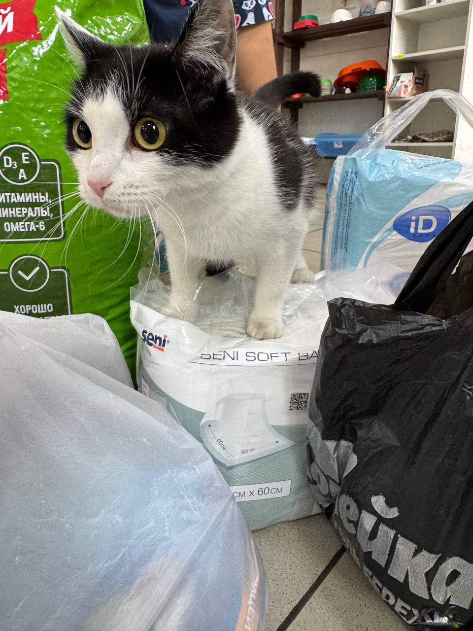 Фото галереи