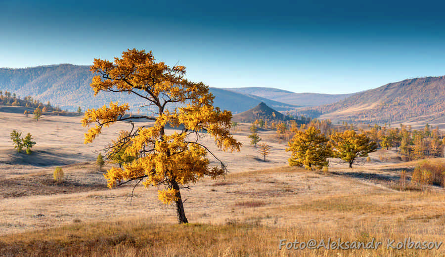 Фото галереи