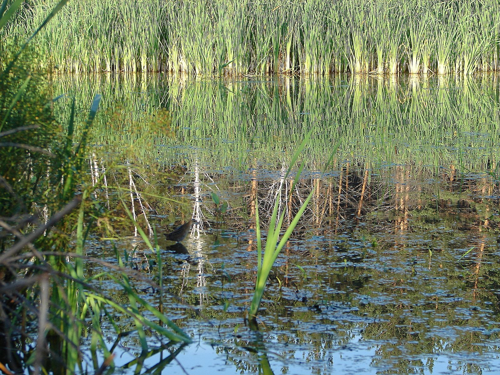 Фото галереи