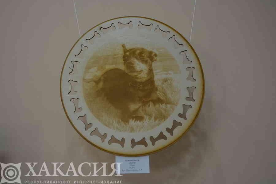 Фото галереи