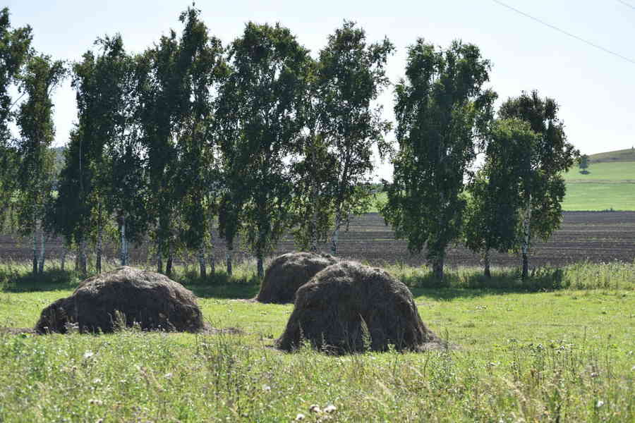 Фото галереи