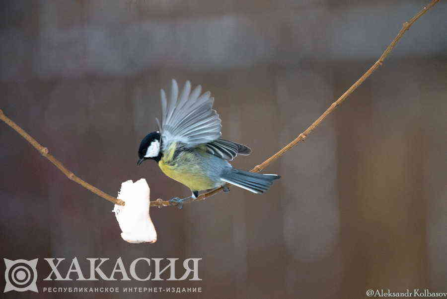 Фото галереи