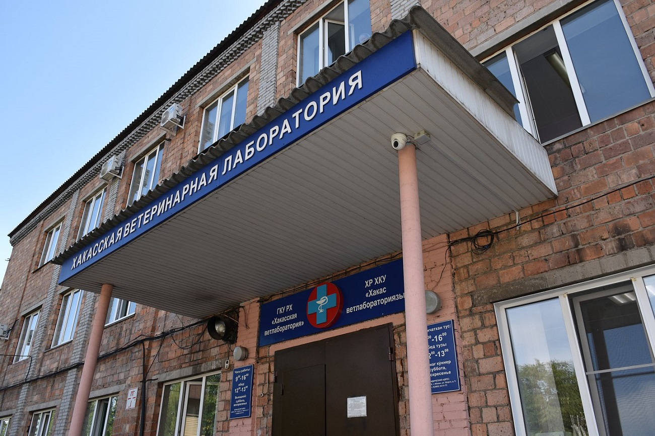 Фото галереи