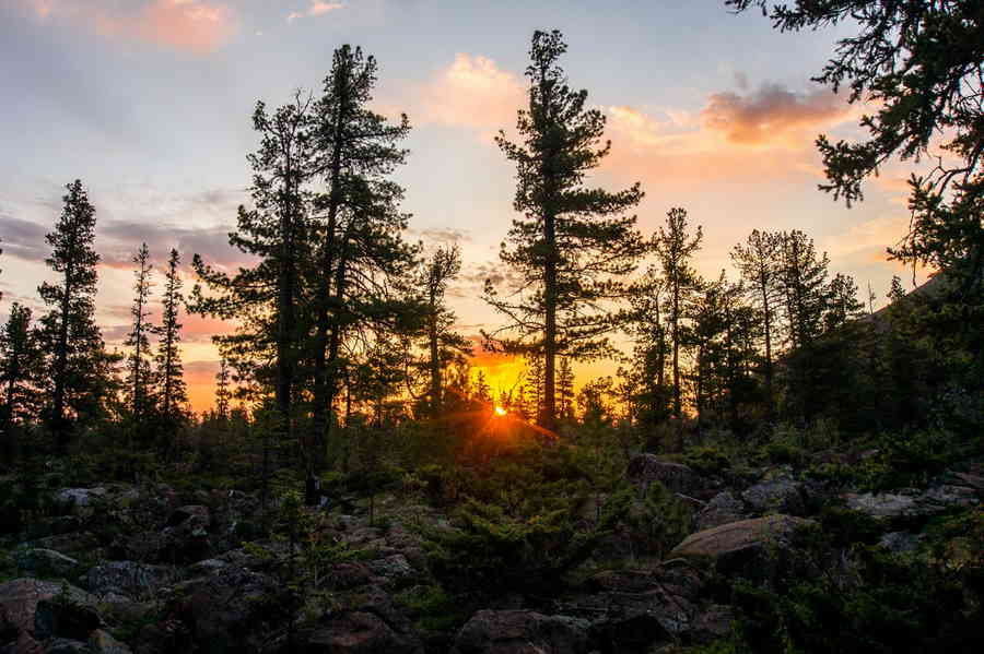 Фото галереи