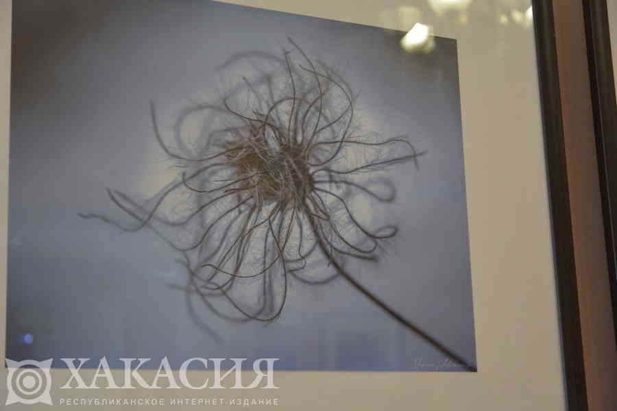 Фото галереи