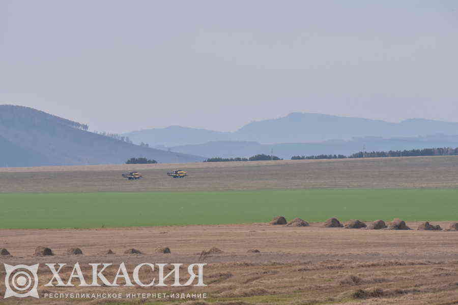 Фото галереи