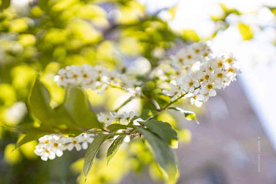 Фото галереи