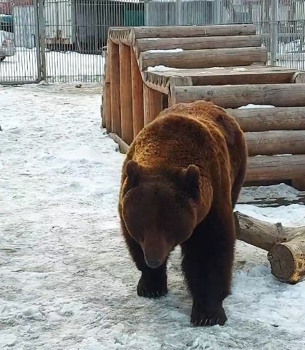 Фото галереи
