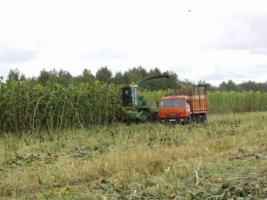 Фото галереи