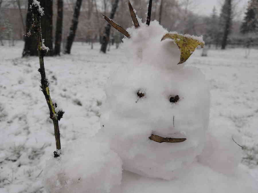 Фото галереи