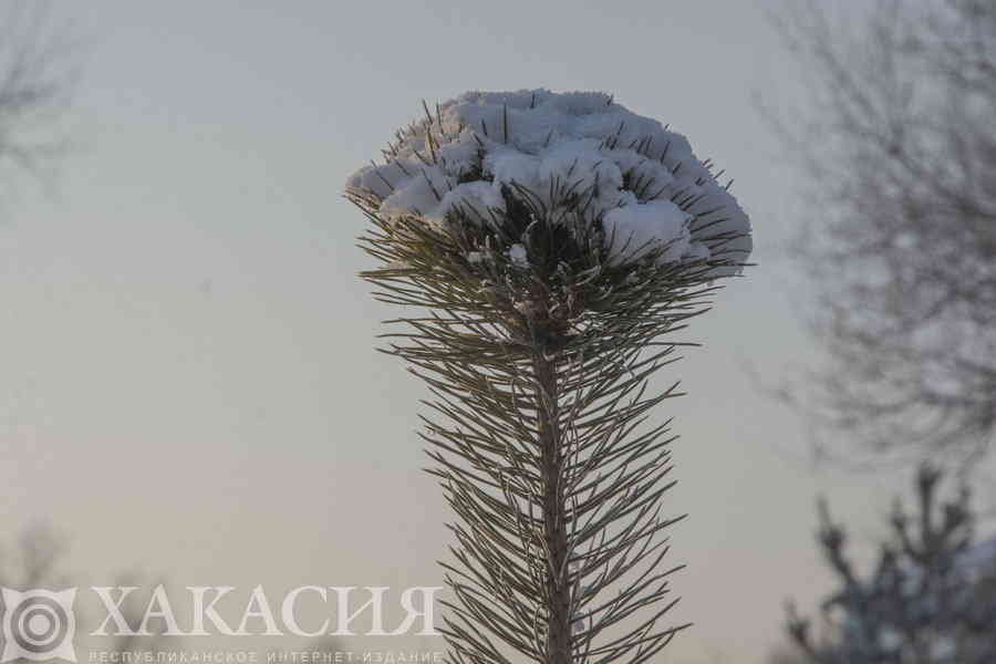 Фото галереи