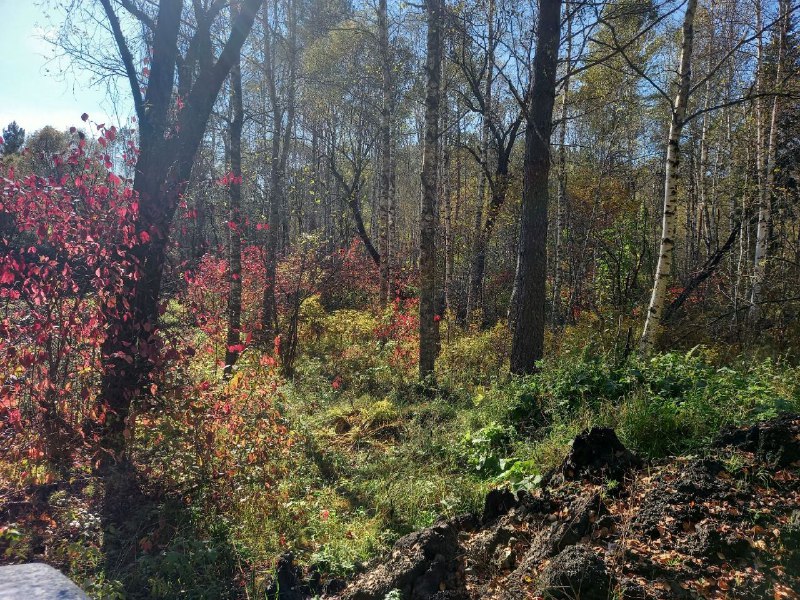 Фото галереи