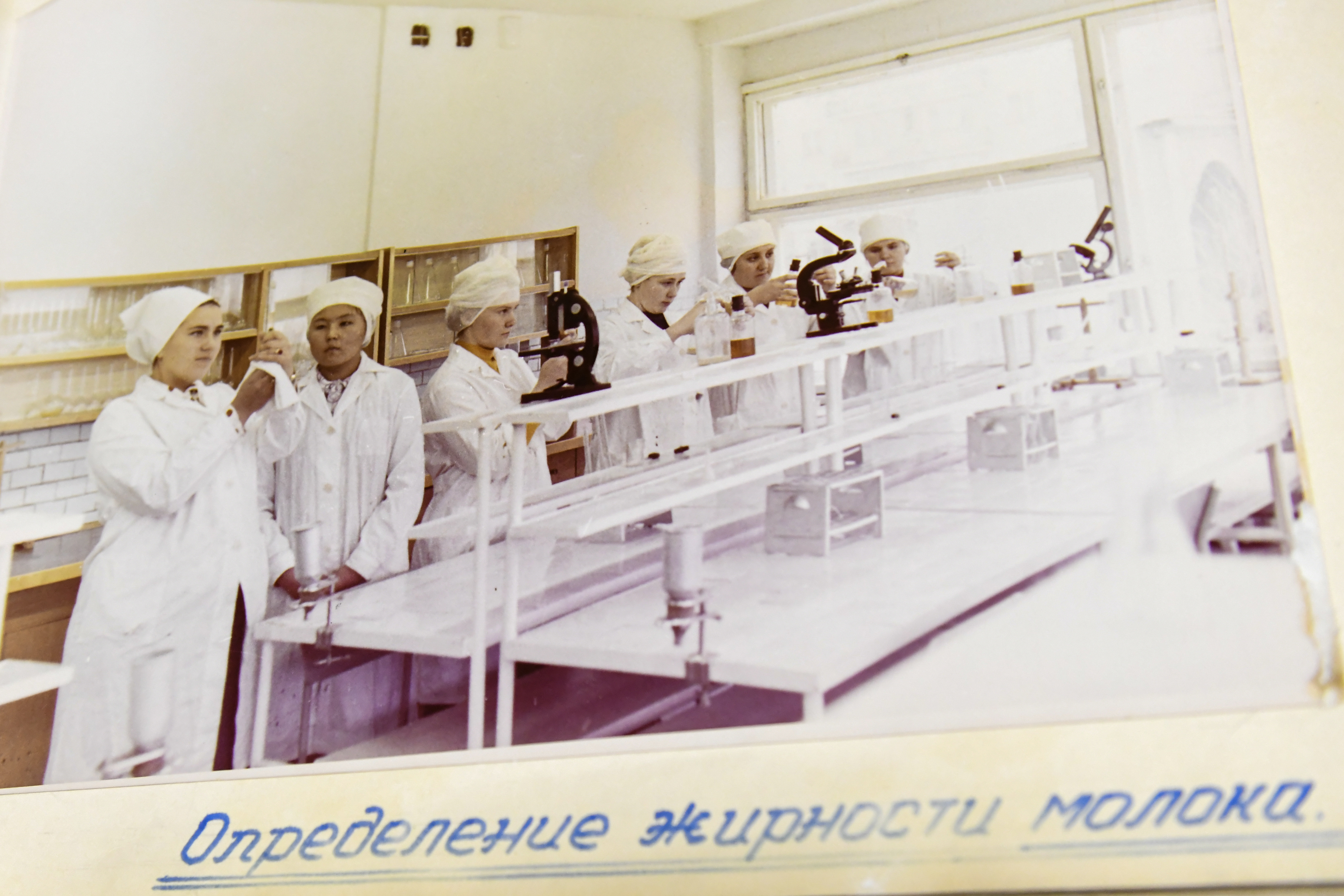 Фото галереи