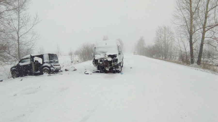 Фото галереи